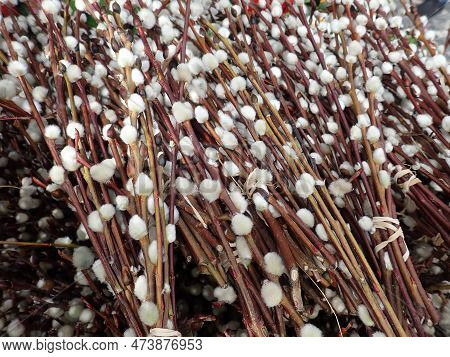 Detail Of A Eastre Spring Twig On A Market