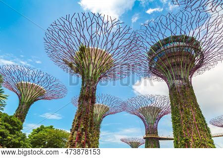 Singapore - June 23, 2019: The Supertree Grove At Gardens By The Bay In Singapore Near Marina Bay Sa