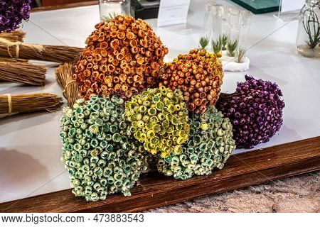 Small Bouquet Of Sempre-viva Flowers, Comanthera Mucugensis At Mucuge In The Chapada Diamantina Nati