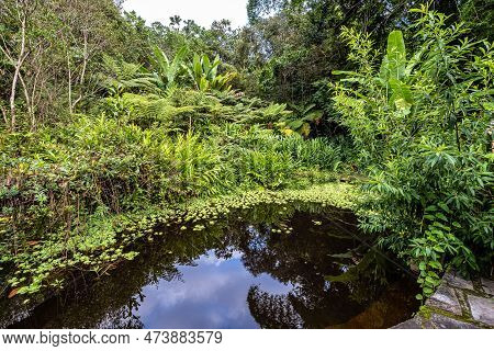 Lovely Garden Of A Guesthouse At Mucuge In The Chapada Diamantina National Park, Bahia In Brazil