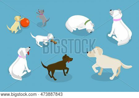 3d Isometric Flat Vector Set Of Funny Pappies Andd Dogs, Different Poses And Activities