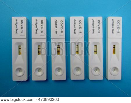 Rapid Chromatographic Immunoassay Covid-19 Antigen Tests Or Rats