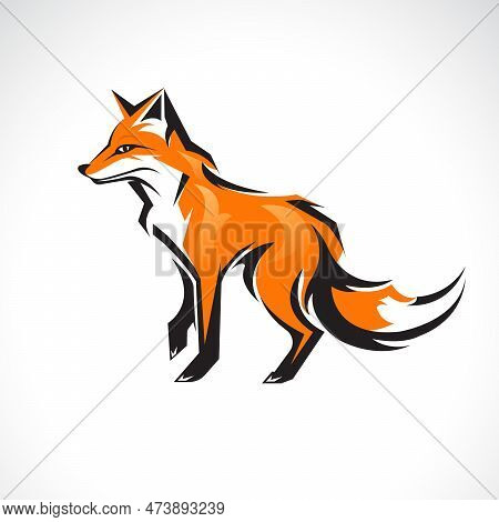 Vector Of A Fox Design On Black Background. Wild Animals.