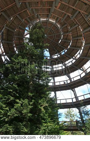 Wooden Walkway Ramps At Treetop Walk Bavarian Forest (baumwipfelpfad) Near Neuschoenau In Bavarian F