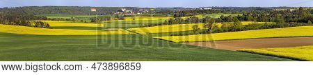 Field Of Rapeseed, Canola Or Colza In Latin Brassica Napus And Namest Nad Oslavou Castle, Czech Repu