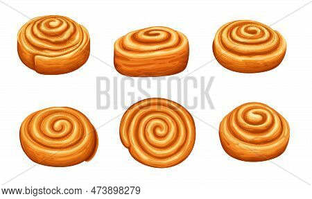 Cinnamon Roll Buns, Sweet Pastry Made With Rolled Dough, Cinnamon, Sugar, And Butter. Isolated Vecto