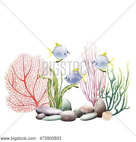 Undersea Composition With Coral Reef Plants And Fishes. Watercolor Illustration Isolated On White Fo