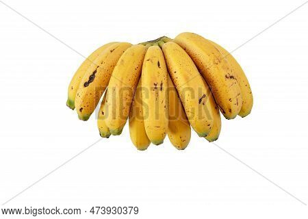 Bunch Of Small And Curved Bananas With Sugar Spots Isolated Transparent Png. Ripe Yellow Spotted Fru