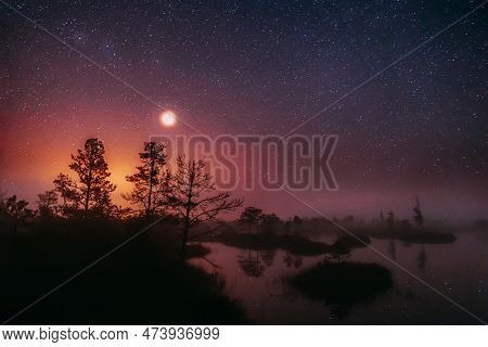 Dramatic Twilight Sky With Rising Planet Venus Over Swamp Landscape. Misty Morning Time. Soft Colors