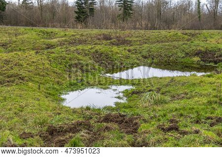 Scenery Showing A Historic Battlefield Around Verdun, Fought From 21 February To 18 December 1916 On