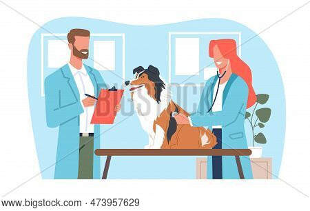 Veterinarians Man And Woman, Employees Of Veterinary Clinic With Dog. Animal Examination. Pets Profe
