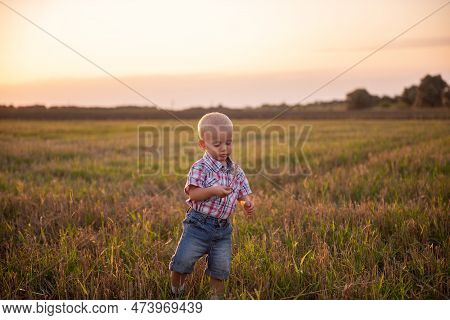 Close Up Portrait Of Little Boy In Plaid Shirt. Todder With Emotions Eats Spikelet Of Wheat