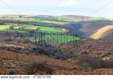 Horner Woods In Somerset