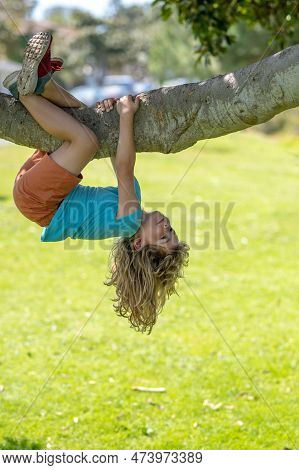 Child Hugging A Tree Branch. Little Boy Kid On A Tree Branch. Kid Climbs A Tree. Active Kid Playing 
