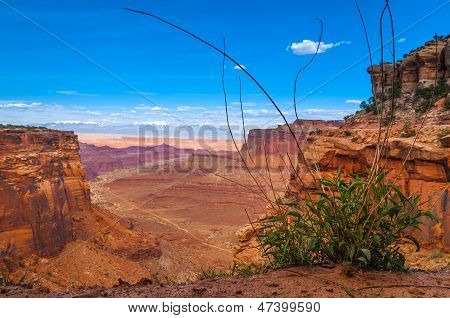 Shafer Switchbacks