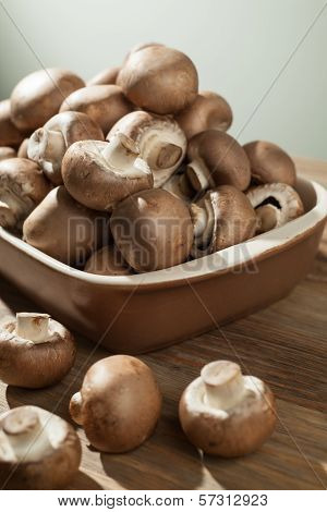 Mushrooms Still Life