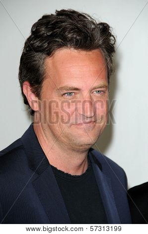 Matthew Perry at the Disney ABC Television Group Summer 2010 Press Tour - Evening, Beverly Hilton Hotel, Beverly Hills, CA. 08-01-10
