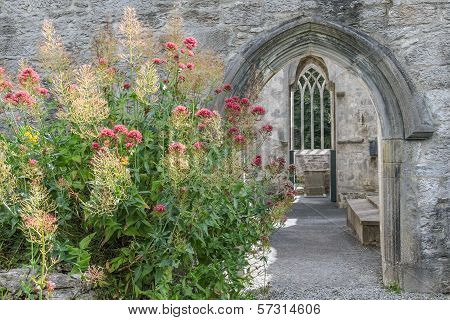 Ruins Of Muckross Abbey