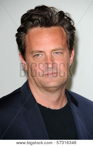 Matthew Perry  at the Disney ABC Television Group Summer 2010 Press Tour - Evening, Beverly Hilton Hotel, Beverly Hills, CA. 08-01-10