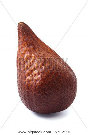 Zalacca palm