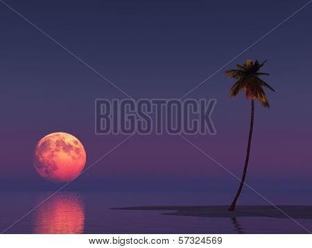 Landscape With The Moon And A Palm