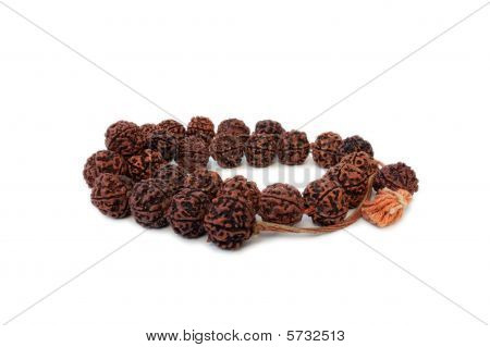 Rudraksh Mala