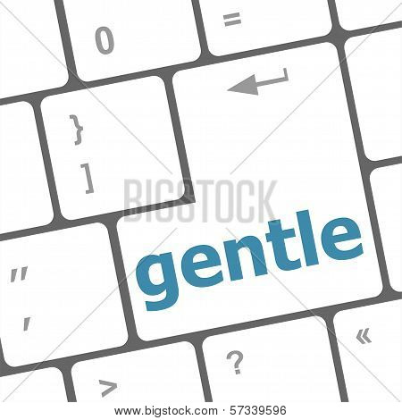 Gentle Button On Computer Pc Keyboard Key