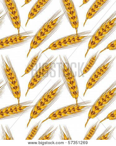 Wheat seamless background