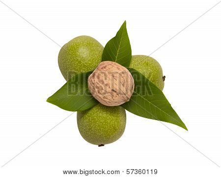 Walnuts