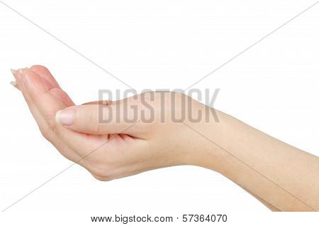 Woman's Hand