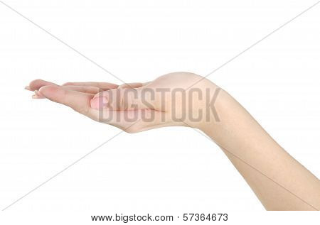 Open Hand Gesture