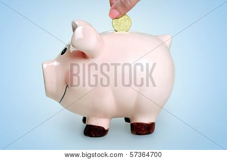 Piggy Bank