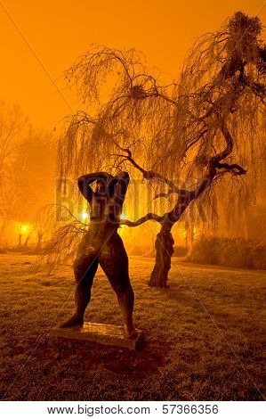 Foggy Evening In The Park