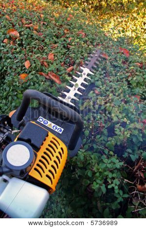 Hedge Cutting Petrol Cutter