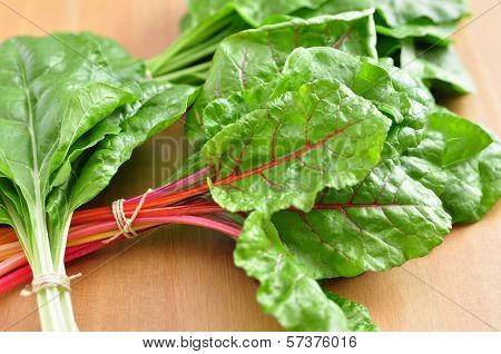 Colorful Swiss Chard