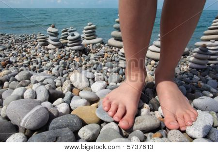 Dos patas y pilas de piedras en Pebble Beach