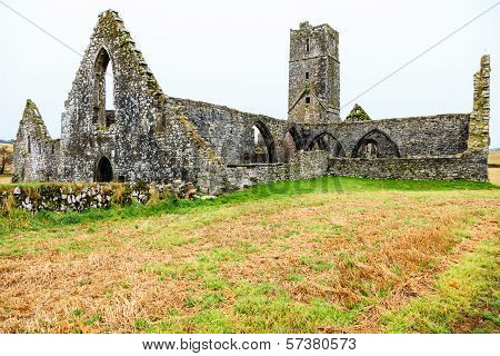 Kilcrea, Ireland - November 28: Kilcrea Friary On November 28, 2012 In Co.cork, Ireland