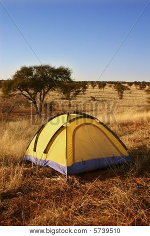 Gula tält i öknen.