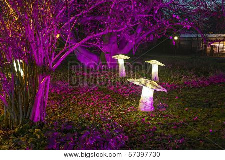 Winterlichter In The Palmgarden