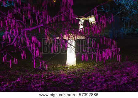 Winterlichter In The Palmgarden