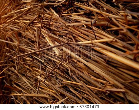 dry yellow straw