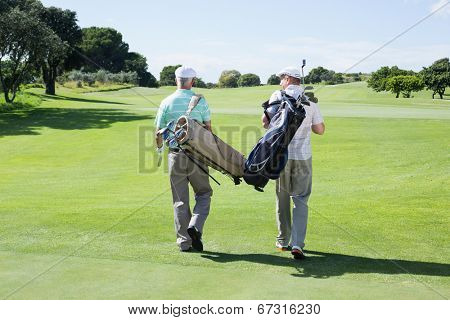 Golfer friends walking holding their golf bags on a sunny day at the golf course