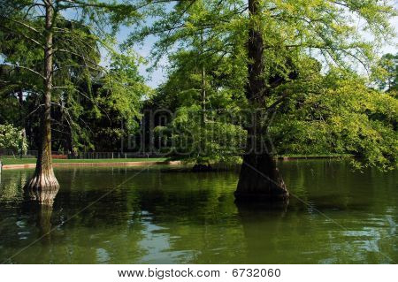 Madrid Park