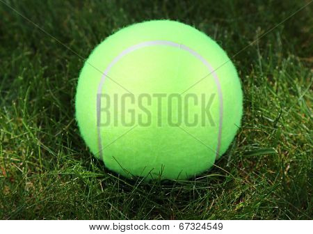 Tennis ball on green grass