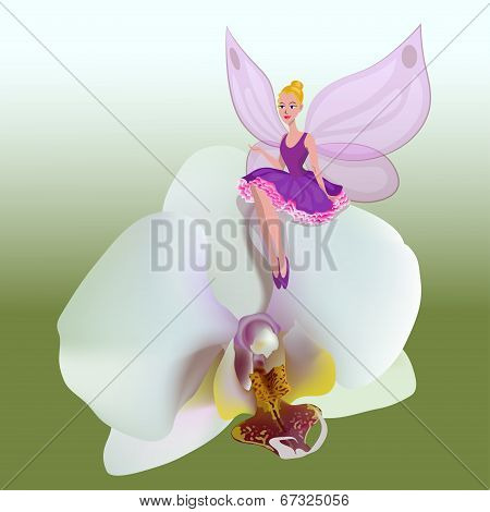 Fairy sitting on a flower of orchid.