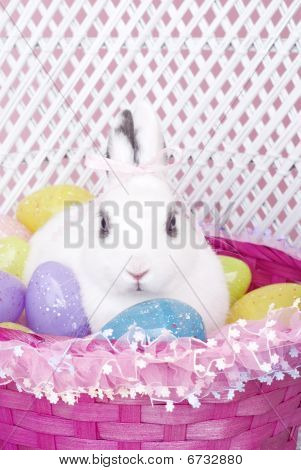 Conejo blanco en la canasta de Pascua con huevos de Pascua