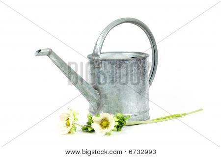 Verzinkte Gießkanne