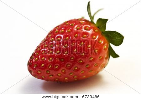 Fragola