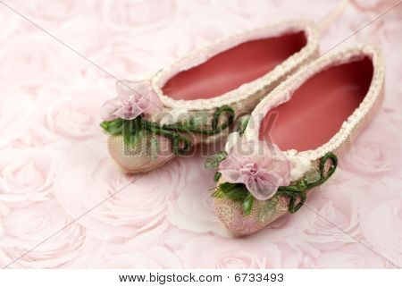 Zapatillas de ballet