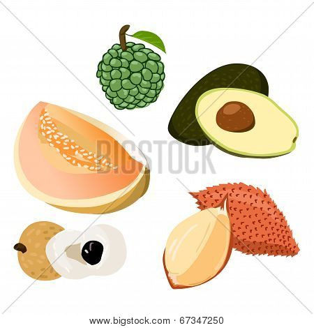 Avocado, Longan, Salacca, Rollina, Cantaloupe
